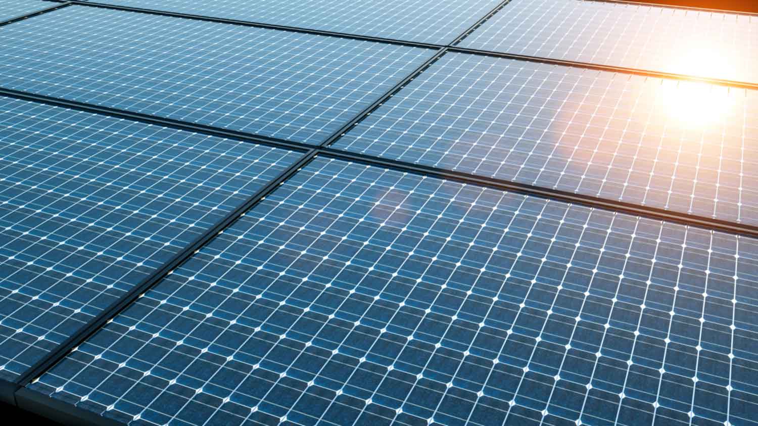 Eine Fläche mit Solarpanels